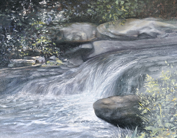 Stepping Stones by Penny Neimiller Stepping Stones by Penny Neimiller